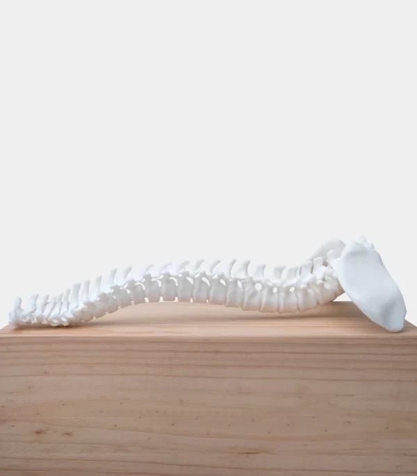 Phrozen Ceramic White 3D Printing Resin - Image 2