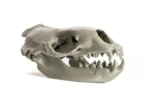 Original Prusa MK4S FDM 3D Printer - Image 6